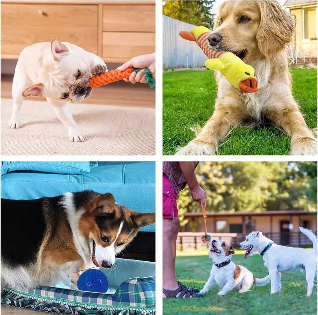 18 piece dog toys set chew rope toy for puppies durable braided tug and chew toys teething puppy toys pet dental care playtime