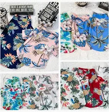Pet Clothes & Raincoats