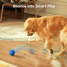 Pet Toys