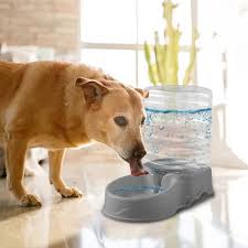 Pet Food and Water Dispensers