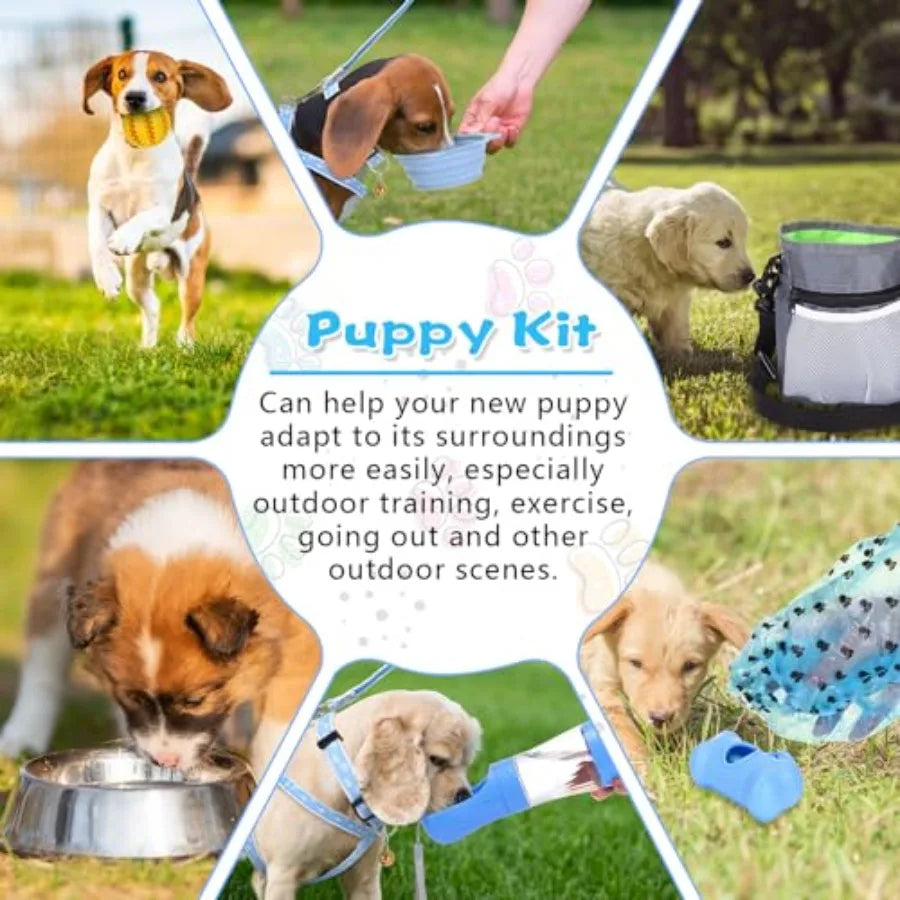 65 Pcs Puppy Supplies Starter Kit Small Dog Essentials Includes Dog Leash & Toys