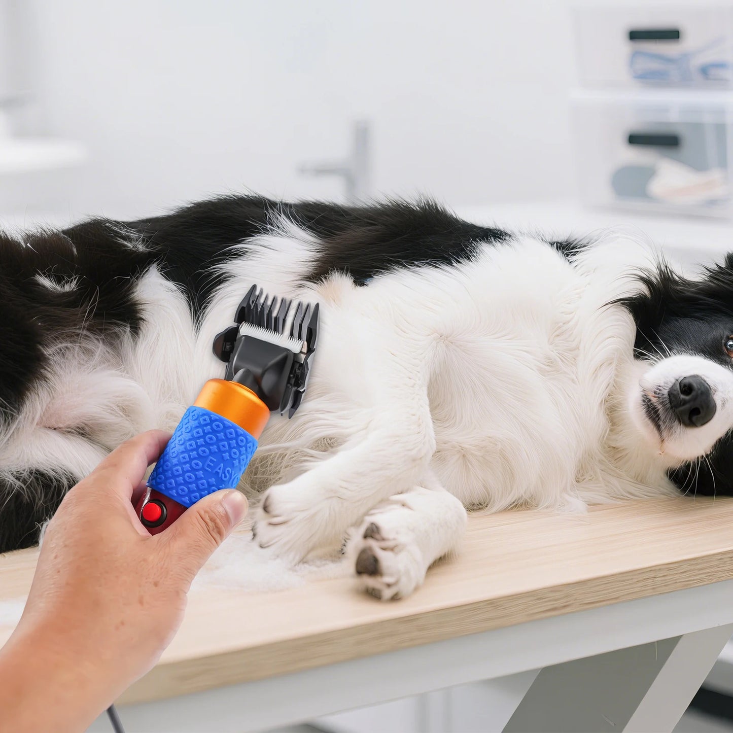 36W Professional Dog Clipper Cat Hair Trimmer Pet Grooming Kit Adjustable Clipper Comb & Detachable Blades Trimmer