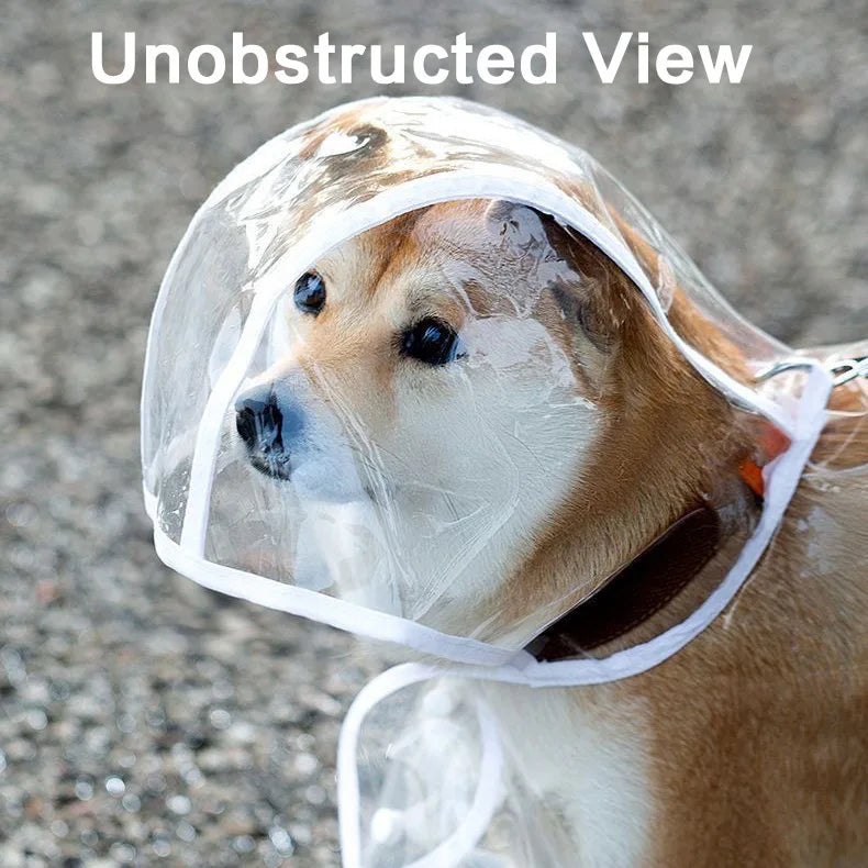 Pet Raincoat Transparent. Dog Raincoat Waterproof and Windproof.