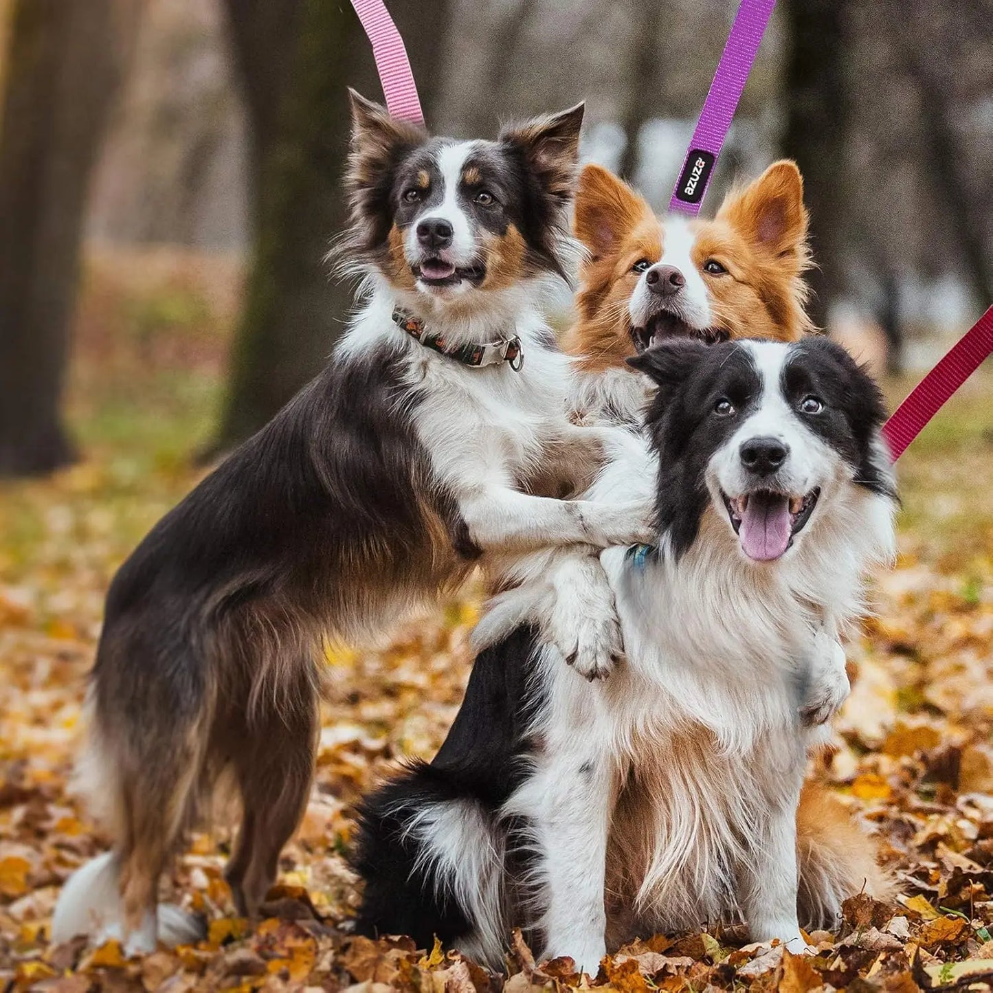 3 Pack Nylon Dog Leashes, Strong & Durable with Easy Hook, Multiple Lengths for Small Dogs in Pink/Purple