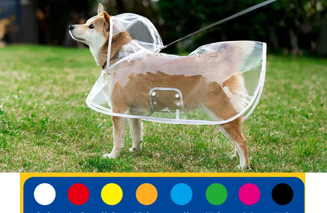 Pet Raincoat Transparent. Dog Raincoat Waterproof and Windproof.