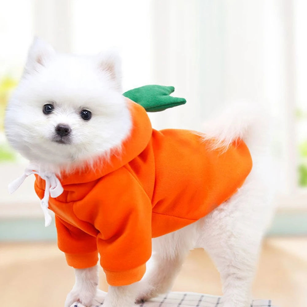 Cute Fruit Dog Clothes for Small Dogs. Hoodies Warm Fleece.