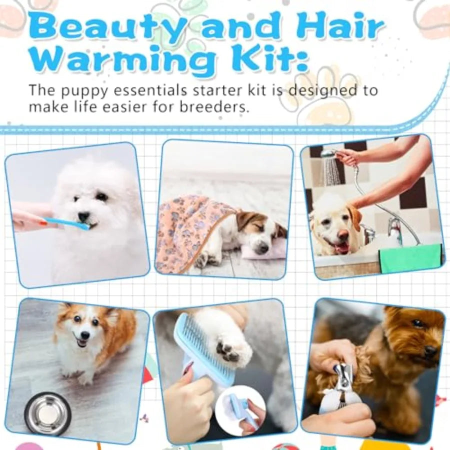 65 Pcs Puppy Supplies Starter Kit Small Dog Essentials Includes Dog Leash & Toys