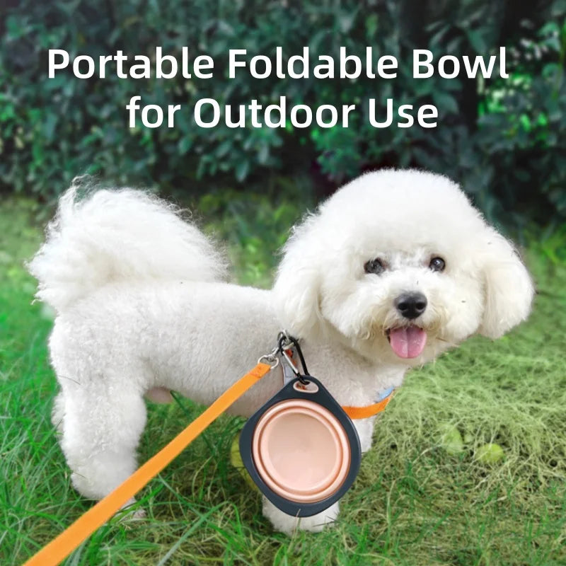 Travel/ Portable Outdoor Folding Food & Water Bowl.