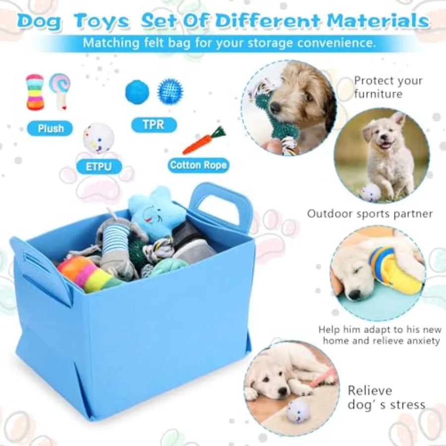 65 Pcs Puppy Supplies Starter Kit Small Dog Essentials Includes Dog Leash & Toys