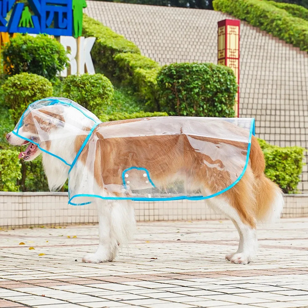 Pet Raincoat Transparent. Dog Raincoat Waterproof and Windproof.