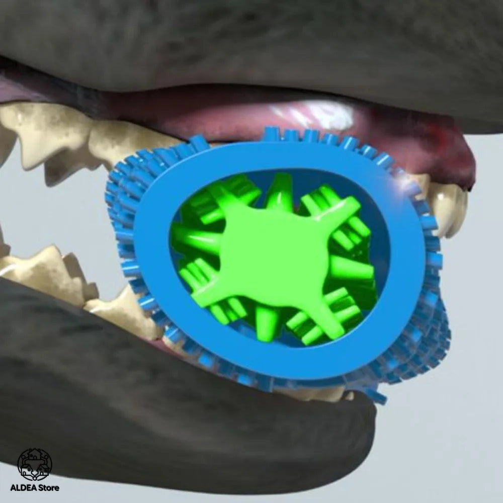 Simulation Bone Pet Chew Toy, Detachable Dental Cleaning Teething Stick for Dogs, Chewing Training, Wholesale dog toy  dog items