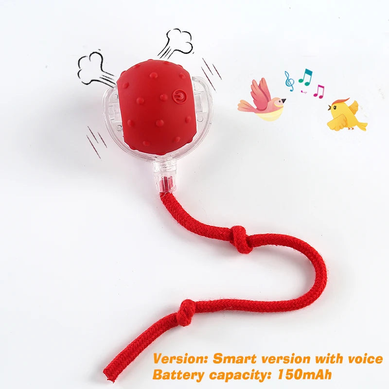 New Dog Interactive Ball Toy, Automatic Rolling Dog Ball, Rechargeable.