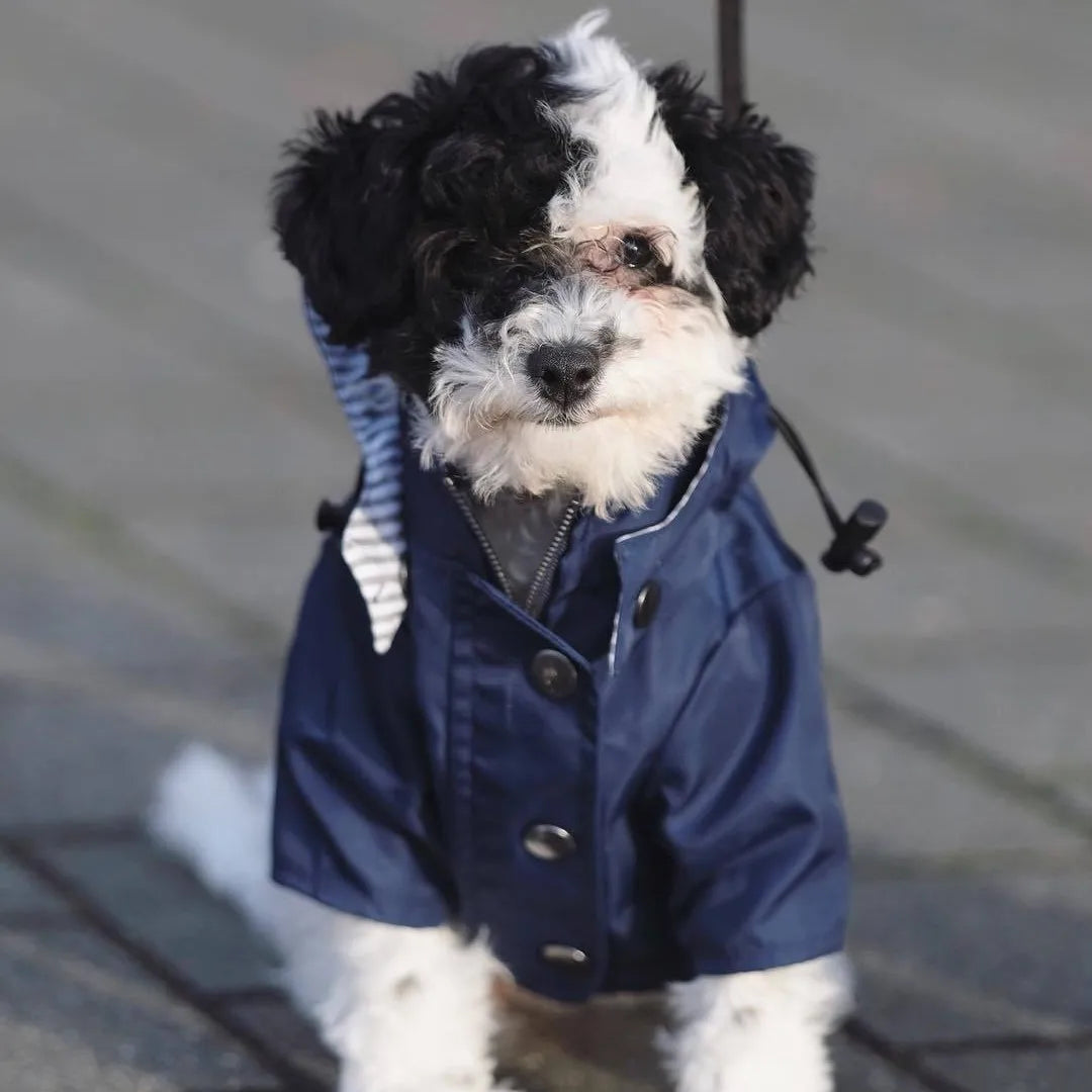 Fashion Multi Colors Dog Raincoat, Jacket S-5XL Medium Large Dog Clothing Hoodies