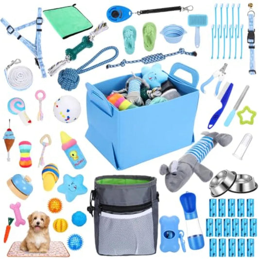65 Pcs Puppy Supplies Starter Kit Small Dog Essentials Includes Dog Leash & Toys