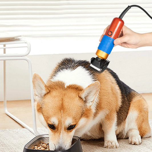 36-W Electric Shears for Pet Grooming.