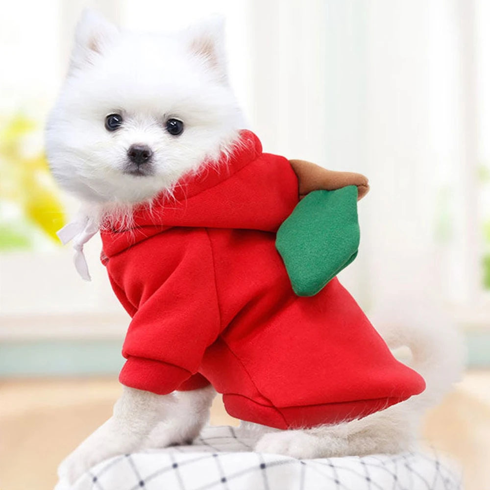 Cute Fruit Dog Clothes for Small Dogs. Hoodies Warm Fleece.