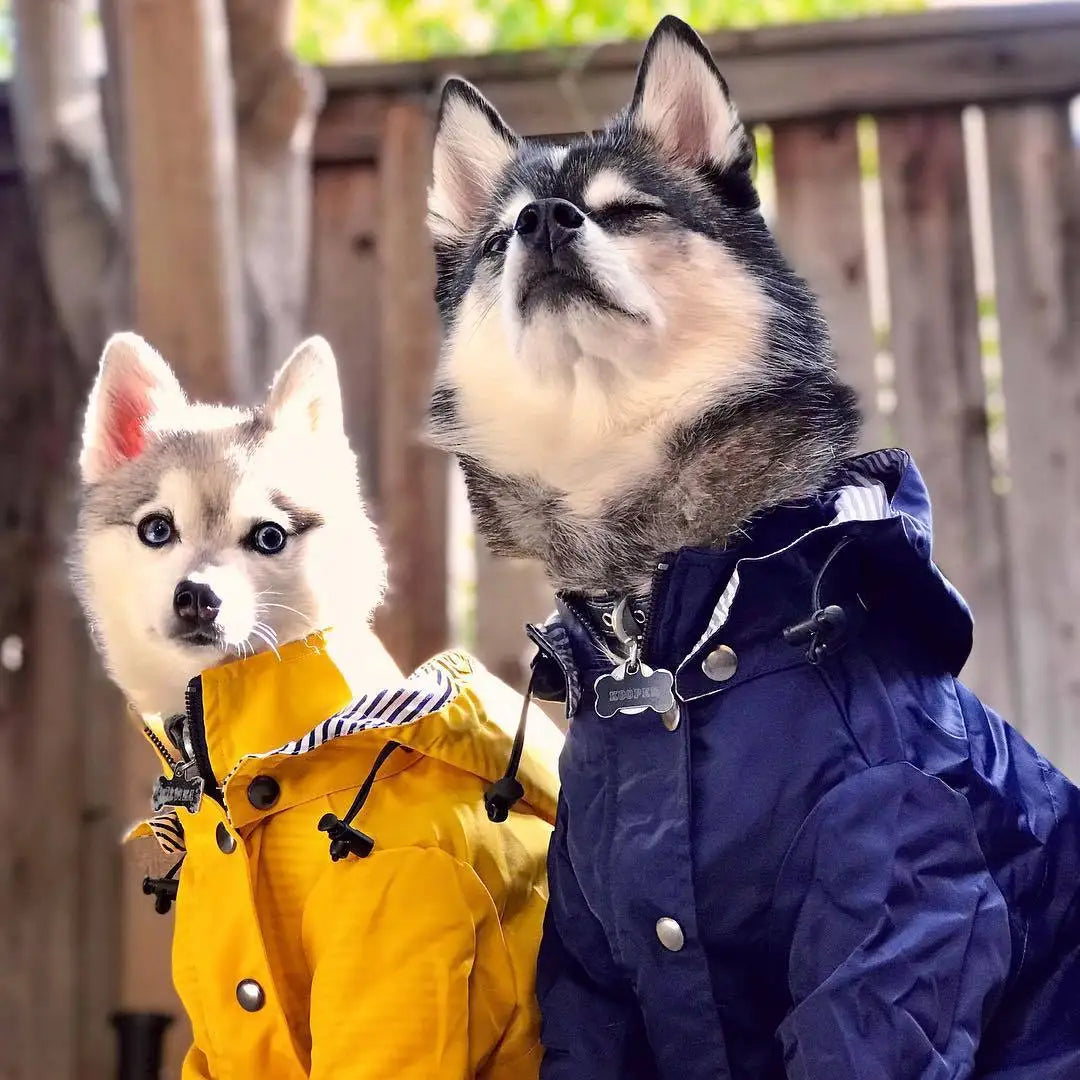 Fashion Multi Colors Dog Raincoat, Jacket S-5XL Medium Large Dog Clothing Hoodies