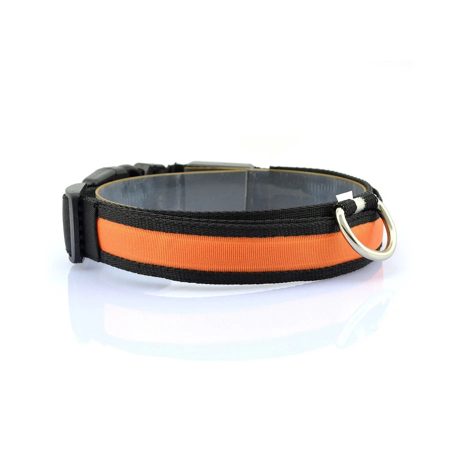 Glowing Dog Collar Nylon LED Night Safetly Glow In The Dark Dogs Collar Luminous Pet Accessories