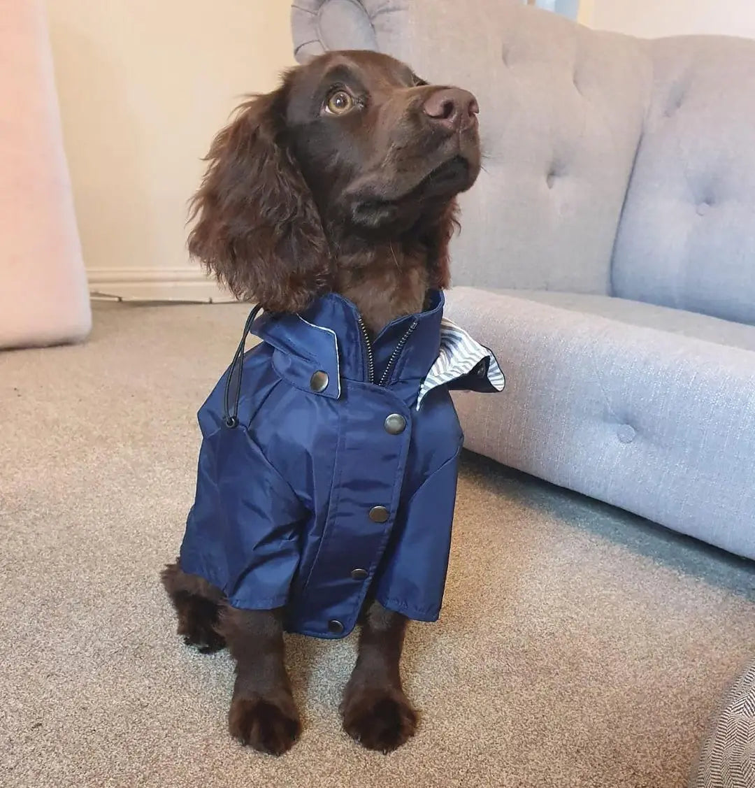 Fashion Multi Colors Dog Raincoat, Jacket S-5XL Medium Large Dog Clothing Hoodies