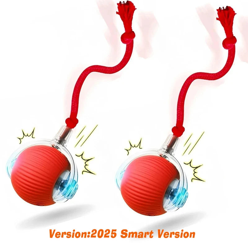 New Dog Interactive Ball Toy, Automatic Rolling Dog Ball, Rechargeable.